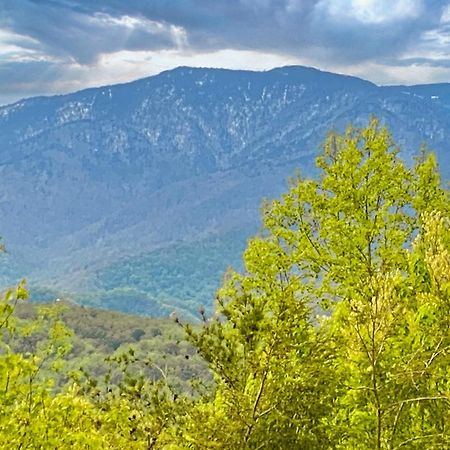 Vila Amazing Views Gatlinburg Pokoj fotografie