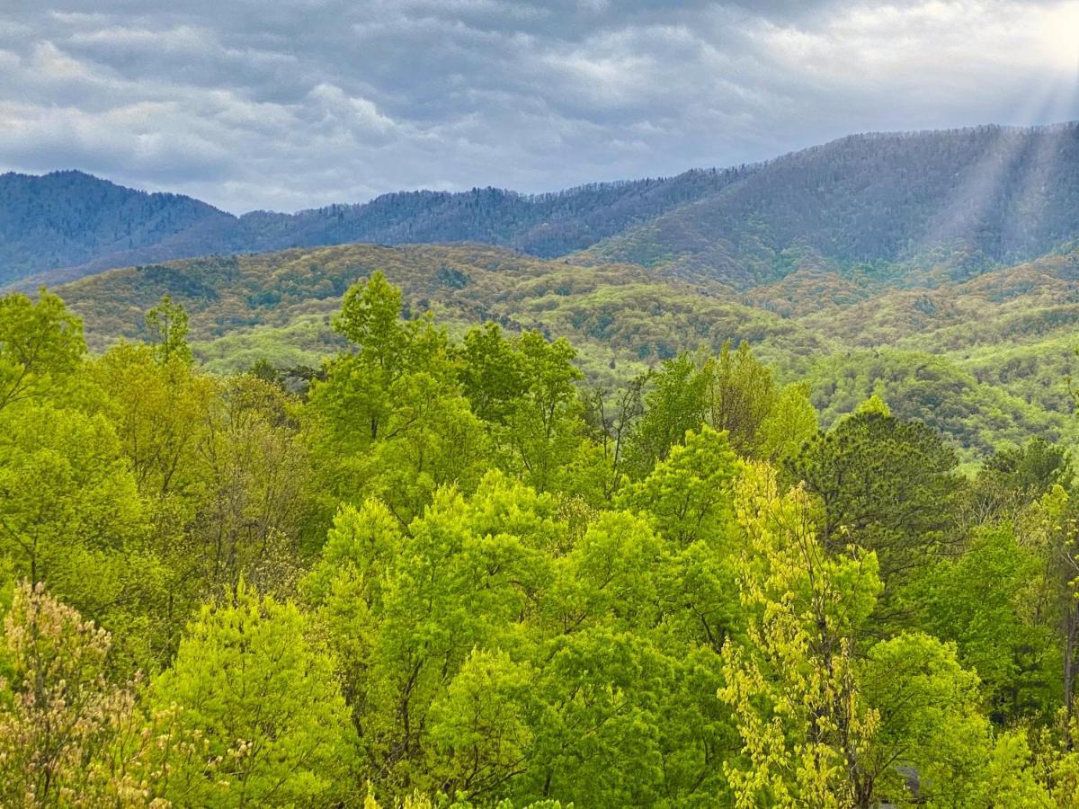 Vila Amazing Views Gatlinburg Pokoj fotografie