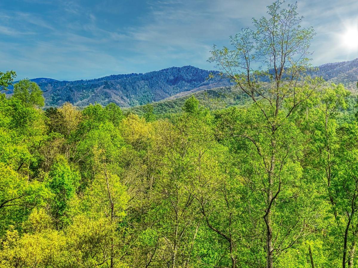 Vila Amazing Views Gatlinburg Exteriér fotografie